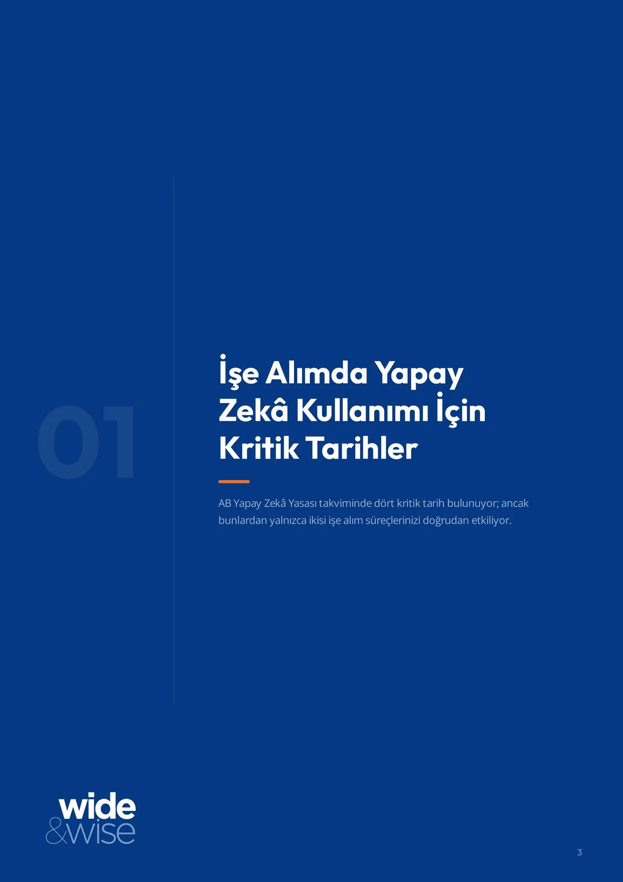 Türkiye'de İşe Alım: Uluslararası Şirketler için Kapsamlı Rehber · Ön izleme sayfası 3